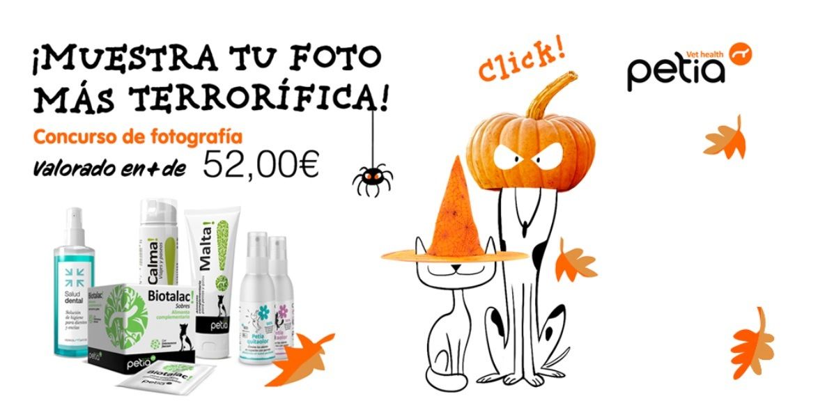 Ideas marketing halloween 2022